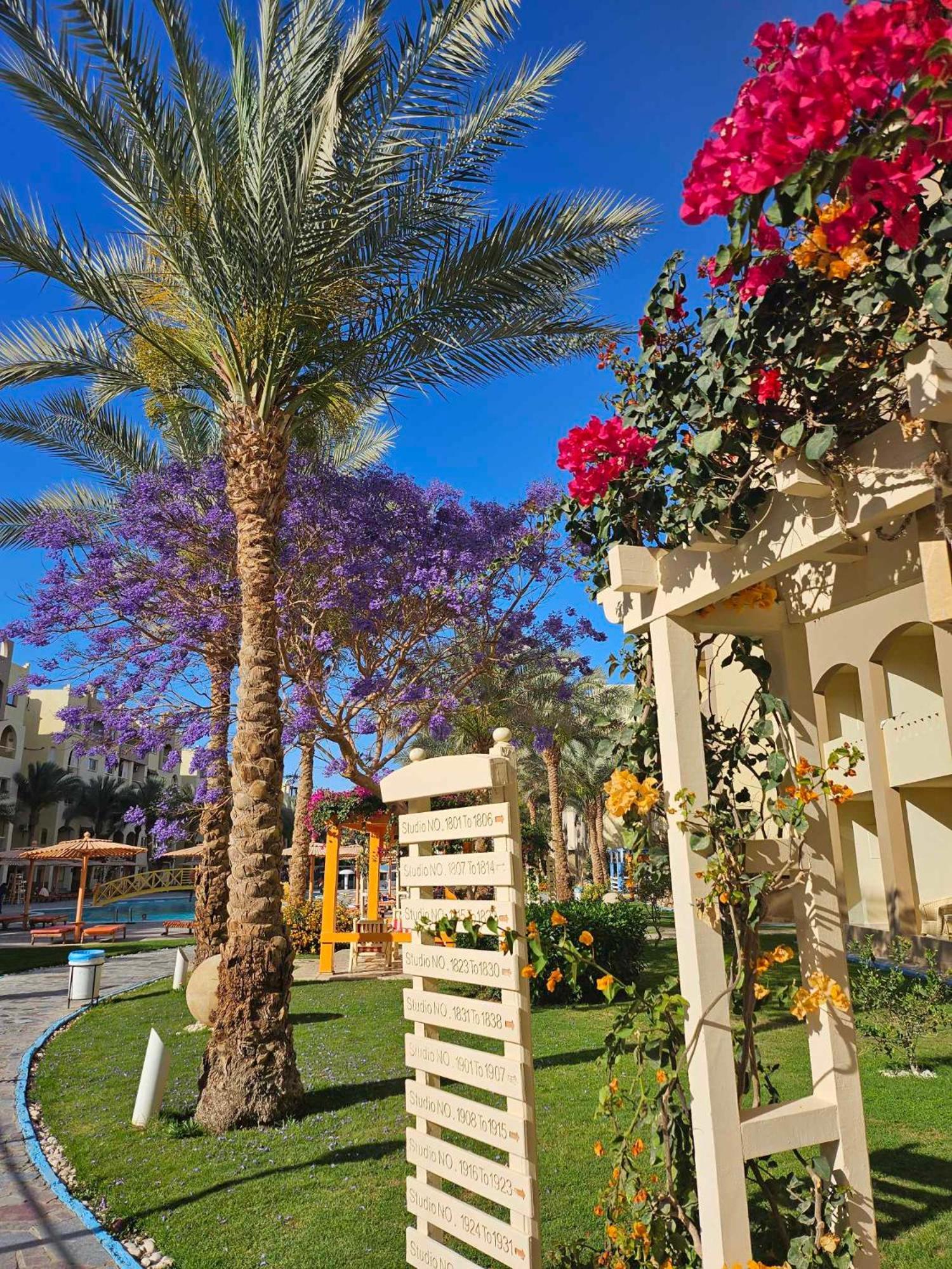 Comfortable Studio In Hotel Karma With Private Beach And Pools Family Only Or Female Hurghada Exteriér fotografie