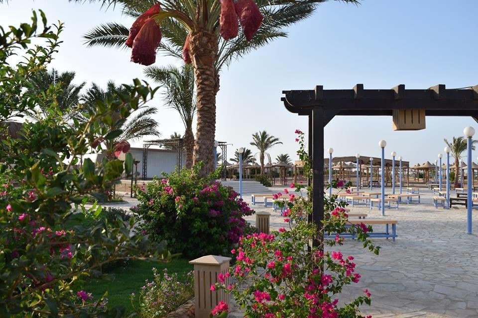 Comfortable Studio In Hotel Karma With Private Beach And Pools Family Only Or Female Hurghada Exteriér fotografie