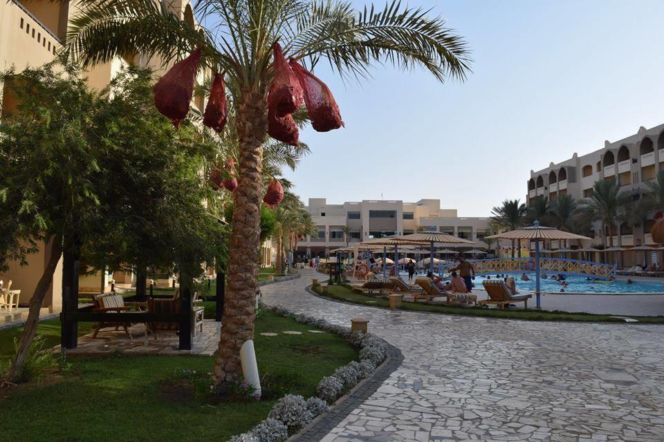 Comfortable Studio In Hotel Karma With Private Beach And Pools Family Only Or Female Hurghada Exteriér fotografie